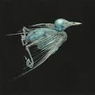 Jenny Hval - Meshes Of Voice